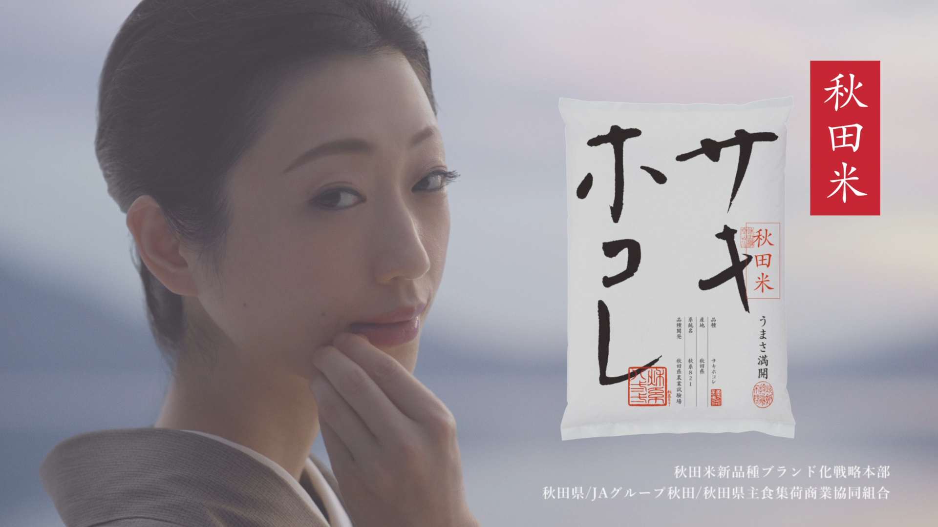 壇蜜 ポスター 2枚セット （秋田サキホコレ、3年連続壇蜜さん出演CM  