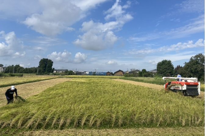 ◇ 亀田製菓が地元米農家との共同出資で法人設立、持続可能な稲作めざす