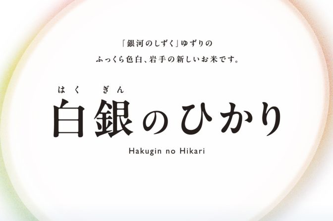 ◇ ７年産デビューの新しい岩手米「白銀のひかり」、栽培マニュアル公表