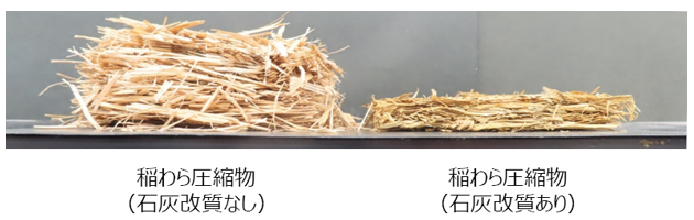 新技術で稲わらからのバイオエタノール製造効率高まる